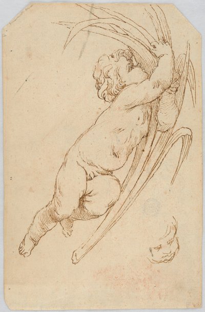 Drawing (Italy) by Unknown